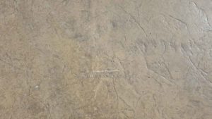 Italian Slate Concrete Stamp Butterfield